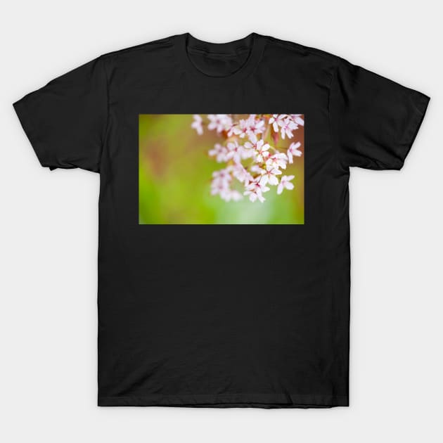 Cherry Bossom T-Shirt by ansaharju